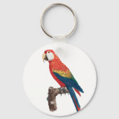 Ara Canga Parrot Sleutelhanger (Voorkant)