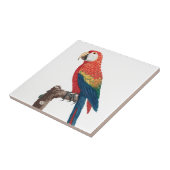 Ara Canga Parrot Tegeltje (Zijkant)