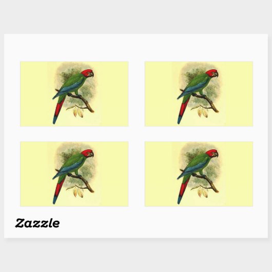 Ara erythrocephala rechthoek Sticker (Vel)