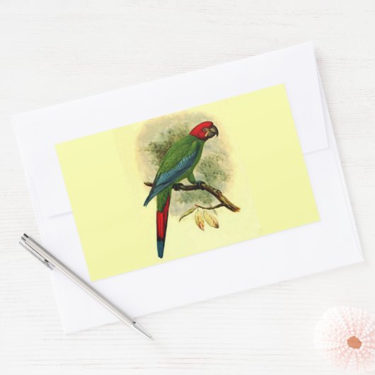 Ara erythrocephala rechthoek Sticker (Envelop)