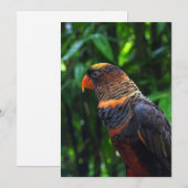 Ara Feestdagenkaart (Voorkant / Achterkant)