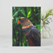 Ara Feestdagenkaart (Staand voorkant)