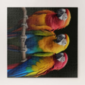 Ara Legpuzzel (Horizontaal)
