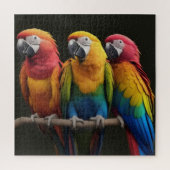Ara Legpuzzel (Verticaal)