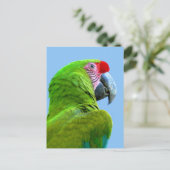 Ara Militaris Green Parrot Briefkaart (Staand voorkant)