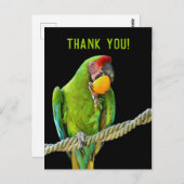 Ara Militaris Green Parrot Briefkaart (Voorkant / Achterkant)