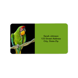 Ara Militaris Green Parrot Etiket