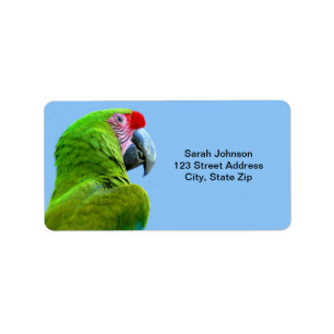 Ara Militaris Green Parrot Etiket