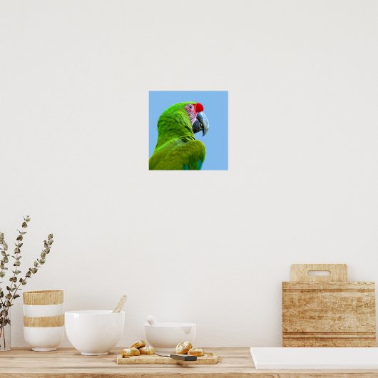 Ara Militaris Green Parrot Poster (Keuken)