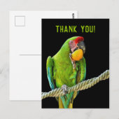 Ara Militaris Groene Papegaai Briefkaart (Voorkant / Achterkant)