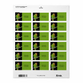 Ara Militaris Groene Papegaai Etiket (Full Sheet)