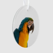 Ara Papegaai Foto Ornament (voorkant)