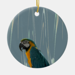 Ara Papegaai Foto Ornament