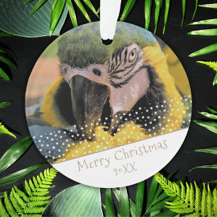 Ara papegaai huisdier foto ster Kerstmis aandenken Ornament