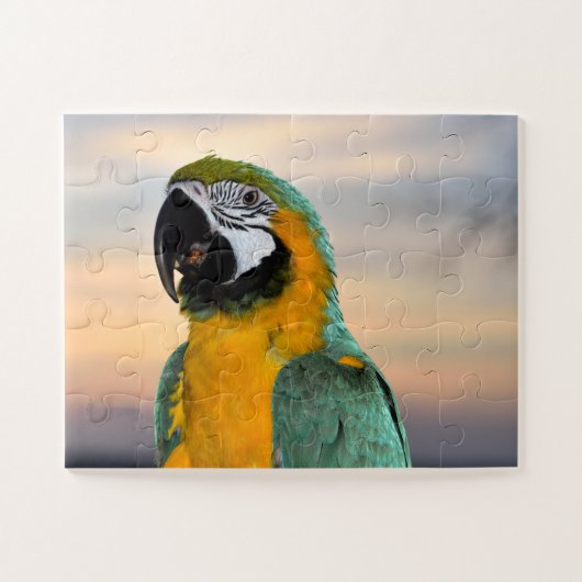 Ara papegaai legpuzzel (Horizontaal)