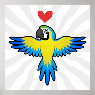 Ara / Papegaai Liefde Poster