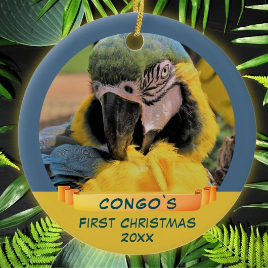 Ara Parrot Pet 1e kerstfoto Foto Keramisch Ornament