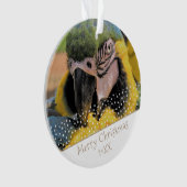 Ara Parrot Pet Photo Star Kerstkeepomwille Ornament (voorkant)