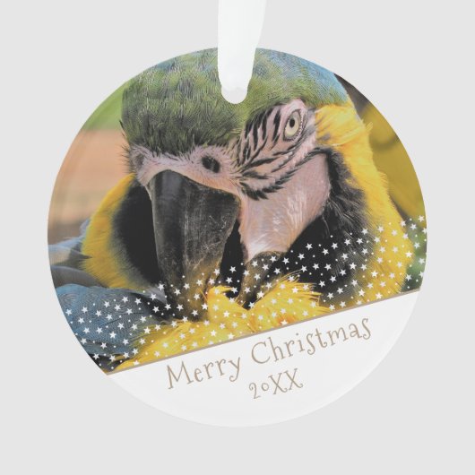 Ara Parrot Pet Photo Star Kerstkeepomwille Ornament (voorkant)