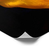 Ara Print, Waarde Poster Papier (Mat) (Hoek)
