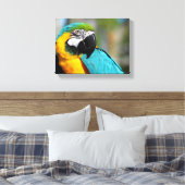 Ara Print, Waarde Poster Papier (Matte) Canvas Afdruk (Insitu (Slaapkamer))