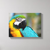 Ara Print, Waarde Poster Papier (Matte) Canvas Afdruk (Voorkant)