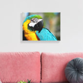 Ara Print, Waarde Poster Papier (Matte) Canvas Afdruk (Insitu (Woonkamer))