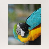 Ara Print, Waarde Poster Papier (Matte) Legpuzzel (Verticaal)
