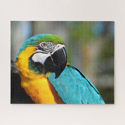 Ara Print, Waarde Poster Papier (Matte) Legpuzzel (Horizontaal)