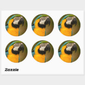 ara ronde sticker (Vel)