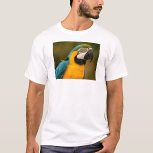 ara t-shirt