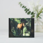 Arab Foal in de Trees Briefkaart (Staand voorkant)