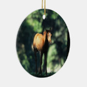 Arab Foal in de Trees Keramisch Ornament (Rechts)
