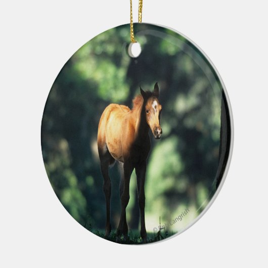 Arab Foal in de Trees Keramisch Ornament (Links)