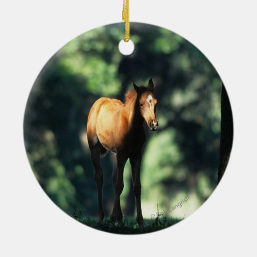 Arab Foal in de Trees Keramisch Ornament (Achterkant)
