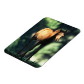 Arab Foal in de Trees Magneet (Linkerzijde)