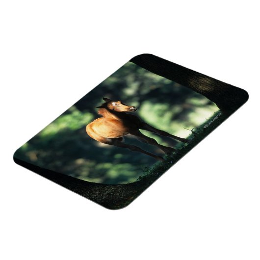 Arab Foal in de Trees Magneet (Linkerzijde)