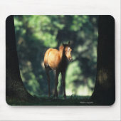 Arab Foal in de Trees Muismat (Voorkant)