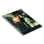 Arab Foal in de Trees Notitieboek (Rechterzijde)