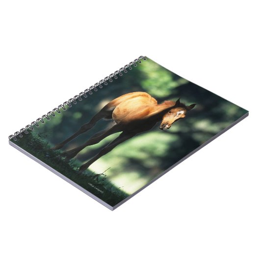 Arab Foal in de Trees Notitieboek (Linkerzijde)