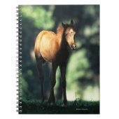 Arab Foal in de Trees Notitieboek (Voorkant)