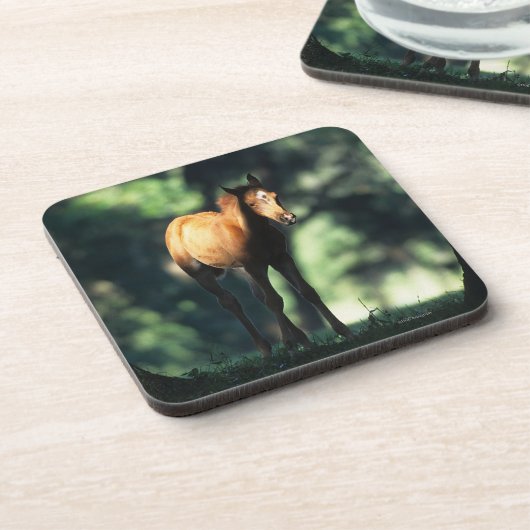 Arab Foal in de Trees Onderzetter (Linkerzijde)