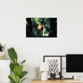 Arab Foal in de Trees Poster (Thuiskantoor)