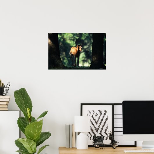 Arab Foal in de Trees Poster (Thuiskantoor)