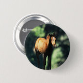 Arab Foal in de Trees Ronde Button 5,7 Cm (Voorkant /achterkant)