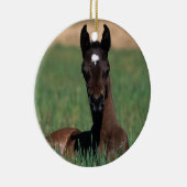 Arab Foal Laying Down Keramisch Ornament (Rechts)