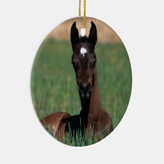 Arab Foal Laying Down Keramisch Ornament (Rechts)
