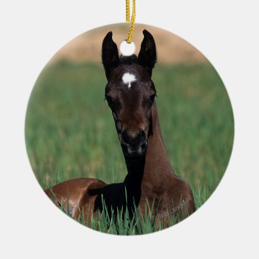Arab Foal Laying Down Keramisch Ornament (Voorkant)