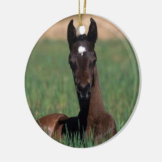 Arab Foal Laying Down Keramisch Ornament (Links)
