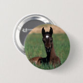 Arab Foal Laying Down Ronde Button 5,7 Cm (Voorkant /achterkant)